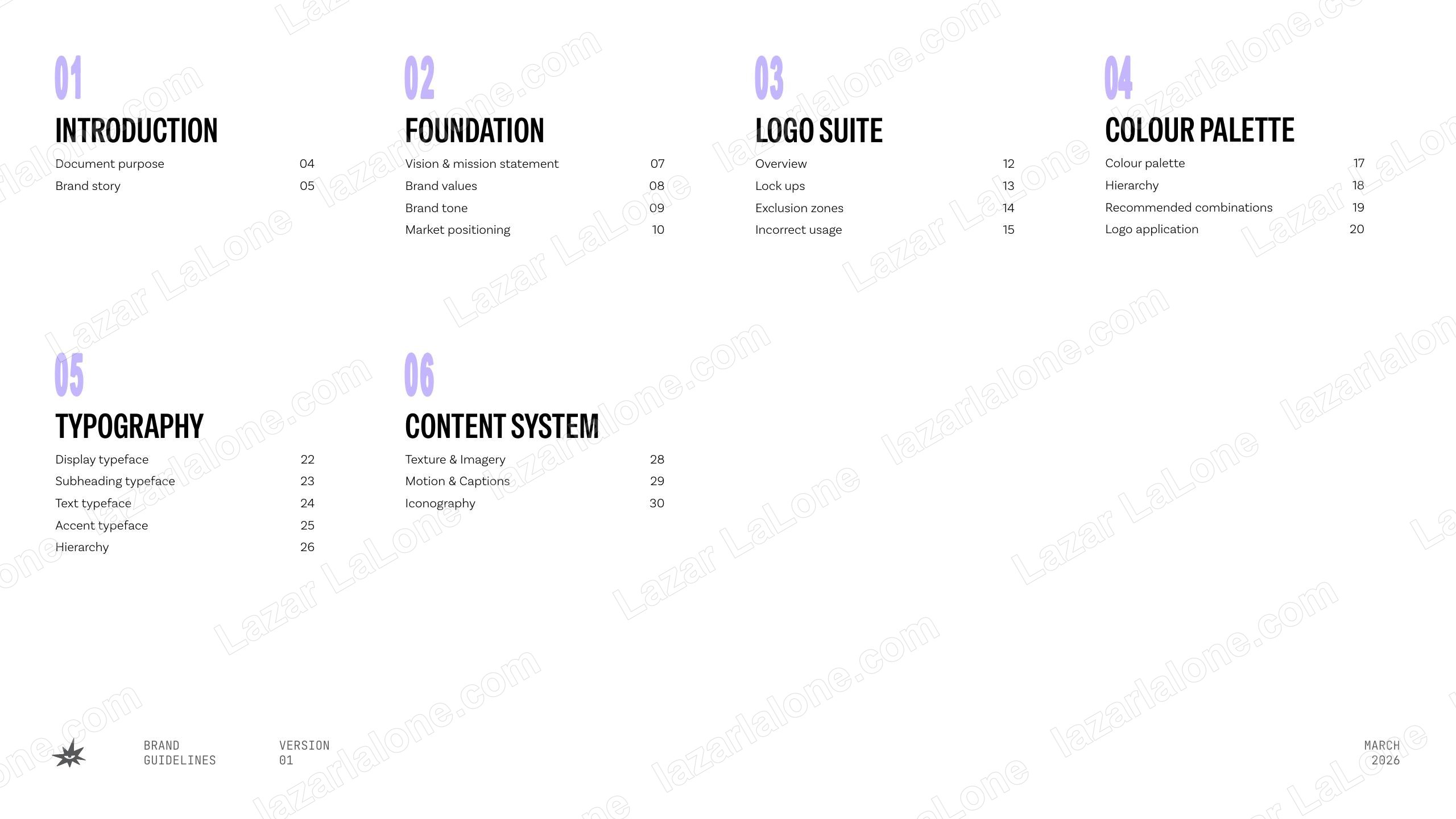 Lazarvision brand guidelines, page 2